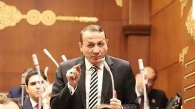 رئيس برلمانية حماة الوطن بالشيوخ: قانون الضمان الاجتماعي يتماشي مع مستهدفات خطة الدولة للتنمية