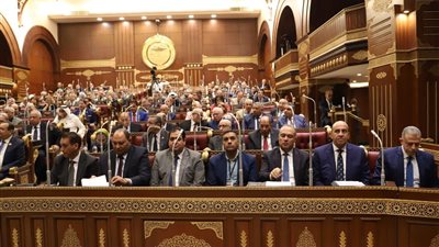 مجلس الشيوخ يوافق على مشروع قانون الضمان الاجتماعي والدعم النقدي.