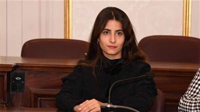 عضو بـ«خارجية النواب»: تقود ملحمة وطنية جديدة في دعم القضية الفلسطينية باسقاط المساعدات على غزة