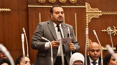 أحمد القناوى 