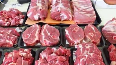 رئيس زراعة الشيوخ: كيلو اللحم سيكون بـ 130 جنيها خلال أيام