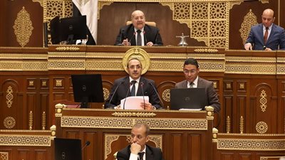 رئيس مجلس الشيوخ: لا يمكن النص على أي مادة قانونية تعارض تعدد الزوجات