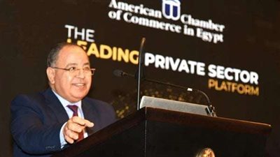 الحكومة تضع خطة لسداد متأخرات الغاز والنفط