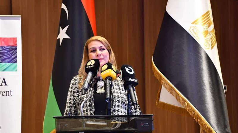 مى حلمى