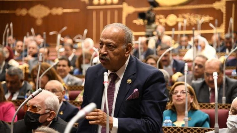 النائب هاني العسال
