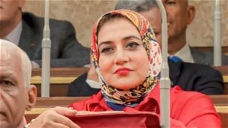 النائبة حنان عمار