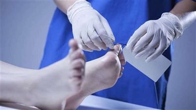 مقتل سائق على يد جاره بسبب خلافات الجيرة في الإسكندرية