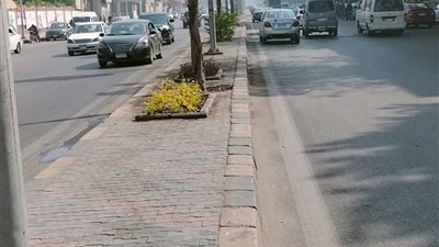 كثافة مرورية متوسطة بحركة سير السيارات في شوارع القاهرة والجيزة