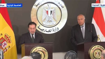 شكري: الرؤى المصرية والإسبانية متوافقة بخصوص رفض نزوح الفلسطينيين