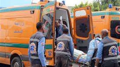 بالاسماء.. إصابة 7 أشخاص في حادث تصادم بالشرقية