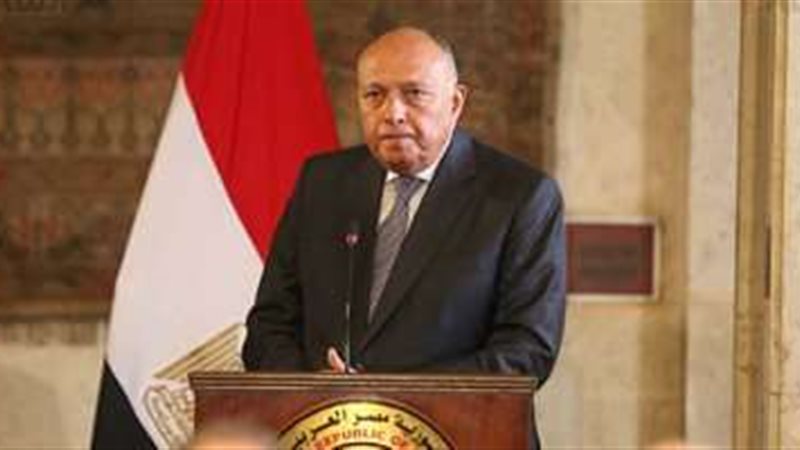 سامح شكري وزير الخارجية