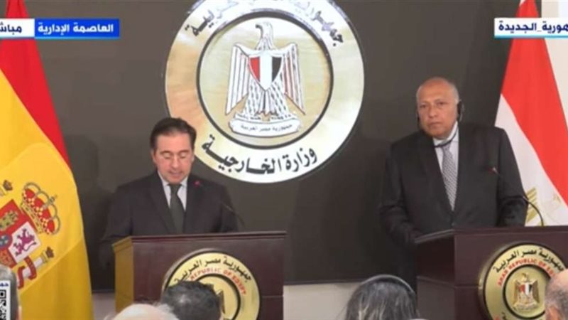 سامح شكري