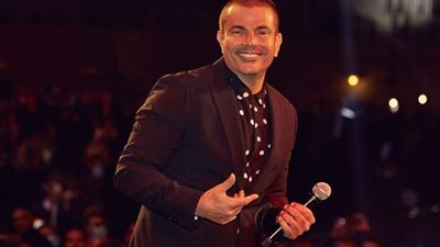 هل كان عمرو دياب ودينا الشربيني متزوجين؟