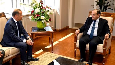 وزير الصناعة يبحث مع الممثل الإقليمي لمنظمة اليونيدو خطط المشروعات المستقبلية بالسوق المصري