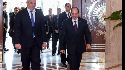 الرئيس السيسي يستقبل المستشار النمساوي على هامش القمة المصرية الأوروبية
