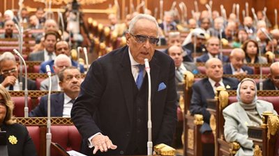 برلمانية حماة الوطن: وزارة الهجرة تولي عناية خاصة للطلاب الدارسين في الخارج