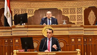 رفع الجلسة العامة لـ «الشيوخ» لأجل غير مسمى