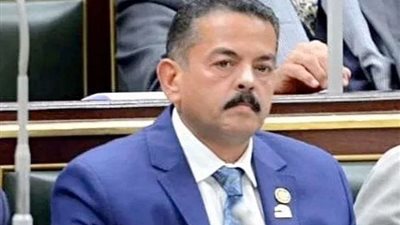 حافظ عمران: مساعدات مصر لقطاع غزة الأكثر عربيا وعالميا