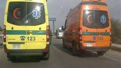 إصابة شخصين بطلق ناري بسوهاج