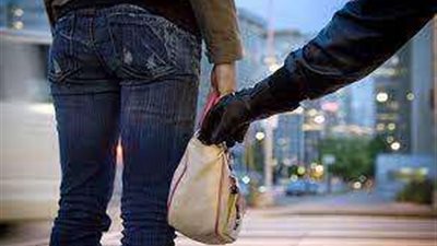 كشف ملابسات سرقة حقيبة فتاة أجنبية داخل مطعم بالعجوزة