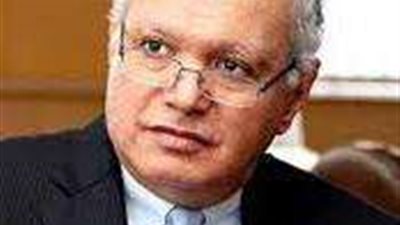 رئيس المجلس المصرى للشئون الخارجية 