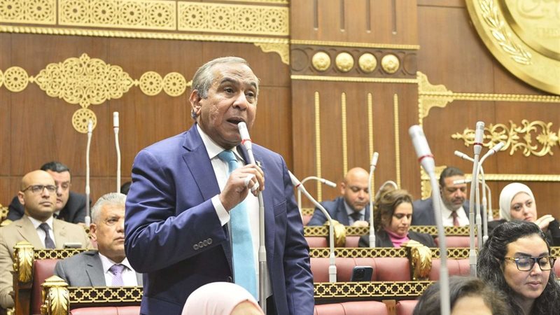 النائب طارق رسلان