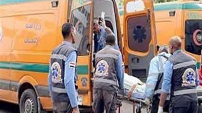 مصرع شخصين وإصابة آخرين في حادث على طريق الواحات