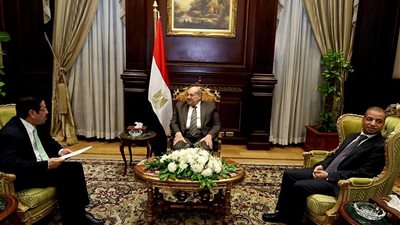 رئيس مجلس الشيوخ يلتقي سفير موريتانيا بالقاهرة