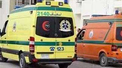 مصرع عامل وإصابة 11 آخرين في انقلاب سيارة ربع نقل بالشرقية