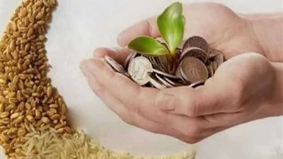 ما هو الموعد النهائي لإخراج زكاة الفطر؟ |الإفتاء توضح