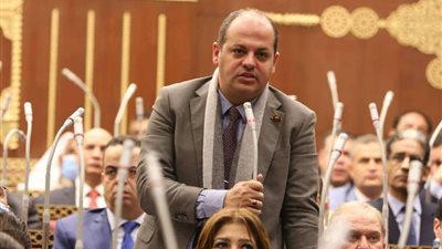 النائب أحمد عبد الماجد : مبادرة الحكومة لخفض أسعار السلع تقضي على الاحتكار وتلبي احتياجات المواطنين