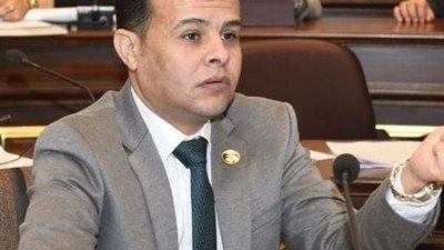 برلماني إطلاق المنظومة الرقمية لرد الأعباء التصديرية خطوة جيدة لزيادة الصادرات