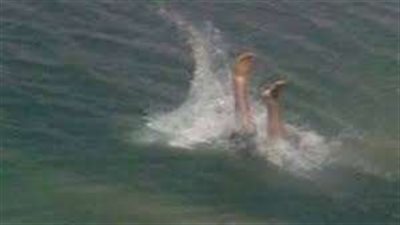 جهود مكثفة لكشف ملابسات العثور على جثة طفل في مياه ترعة بالمنوفية