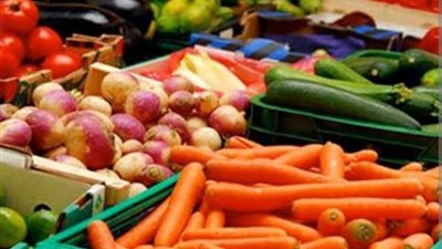 نقيب الفلاحين يكشف أسباب ارتفاع حصيلة الصادرات الزراعية المصرية