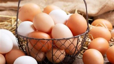 رئيس شعبة الثروة الداجنة: ارتفاع أسعار البيض خلال الفترة المقبلة