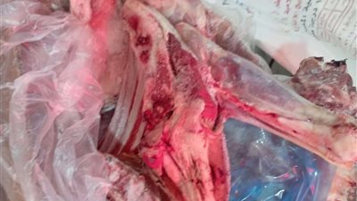 تحرير 515 محضر تموينى وضبط 350 كجم لحوم ودواجن غير صالحة للاستهلاك الآدمي بالمنوفية ( صور )