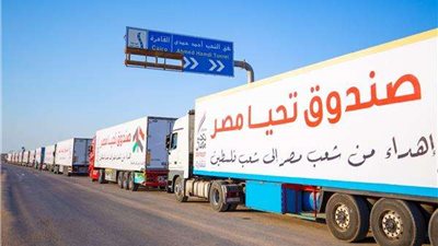 وقود ومواد غذائية وأدوية.. مصر أرسلت لغزة 10868 ألف طن أدوية ومستلزمات طبية منذ بدء العدوان