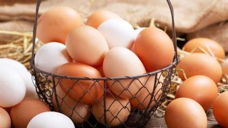 ارتفاع أسعار البيض