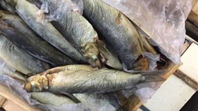 أسعار الرنجة والفسيخ في ثاني أيام عيد الفطر