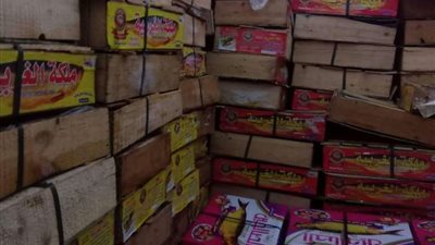 تموين العاصمة يضبط 15 طن أسماك وفسيخ مجهولة المصدر