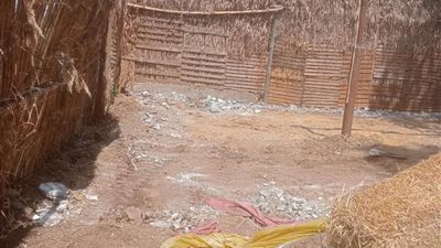 لجان تفتيشية تجوب مراكز ومدن المحافظة لرصد وإزالة مخالفات البناء فى المهد والمتغيرات المكانية بالمنوفية