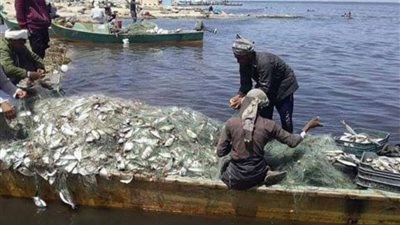 افتتاح بحيرة البردويل بالتزامن مع احتفالات شمال سيناء بعيدها القومي