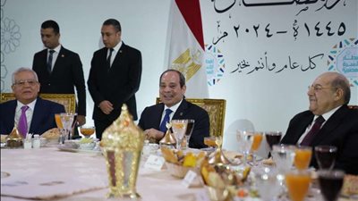 النائبة نيفين حمدي: الرئيس السيسي أستطاع بكل حب وإخلاص ووطنية في لم شمل المصريين