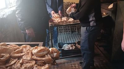 تحرير 402 محضر تمويني بمركز ديروط بأسيوط