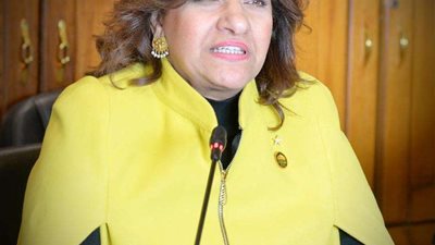 النائبة ايفلين متى:كلمة الرئيس خلال حفل إفطار الأسرة المصرية كانت بمثابة مكاشفة مصارحة للفترة الحالية