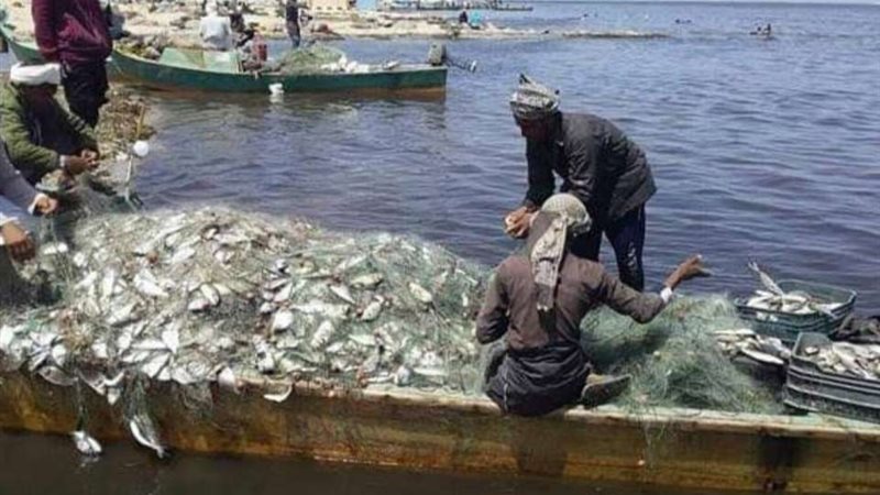 بحيره البردويل