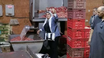 ضبط 4 أطنان دواجن وبط داخل مطاعم شهيرة في القاهرة