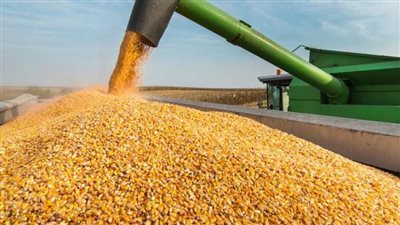 الزراعة تناقش تحديات تحقيق الاكتفاء الذاتي في اللحوم والألبان والأمن الغذائي في مؤتمر علمي