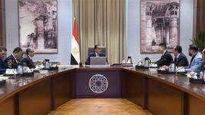 رئيس الوزراء يبحث سبل تشجيع صناعة الأسمدة للتوسع وزيادة حجم صادراتها
