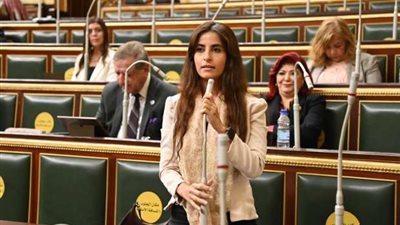 خارجية النواب: قانون التأمين الموحد يخلق بيئة جاذبة للاستثمار في قطاع التأمين